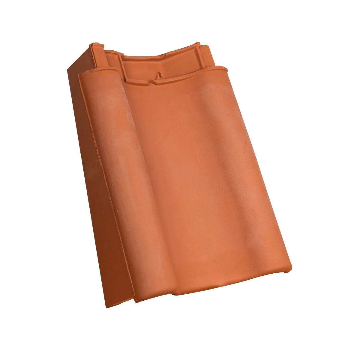 ra050 Vindskedesten Venstre bund Skandinavia 